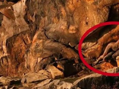 Gözü Dönmüş Sapık! 11 Yaşındaki Çocuğu İstismar Etmeye Kalktı
