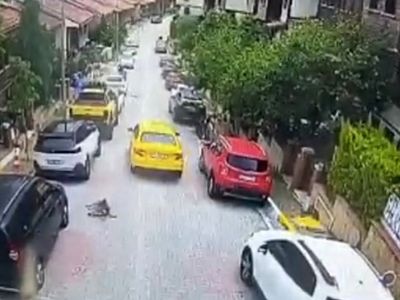 Vicdansız Adam Çareyi Kaçmakta Buldu! Eyüpsultan'da Taksi Şoförü Köpeği Ezerek Öldürdü