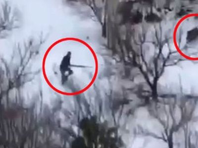 Yaban Domuzlarının Saldırısından Son Anda Kurtuldu