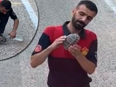 Yürekleri Istan Görüntüler! Yangından Kaçan Yavru Kaplumbağaya Elleriyle Su Verdi