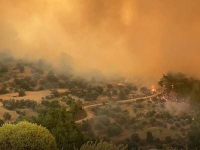 Seydikemer'de orman yangını: Fethiye-Antalya karayolu ulaşıma kapatıldı