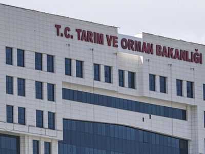 Bakanlıktan 'çekirge istilası' iddialarına yanıt: Marmara için endişeye gerek yok
