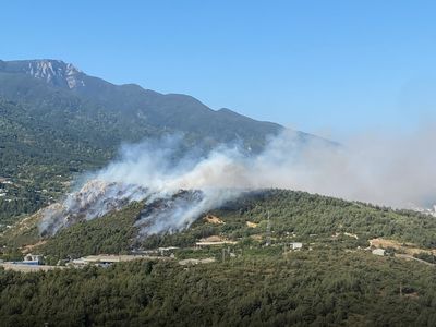 Bursa'da Uludağ eteklerinde aynı anda 3 orman yangını