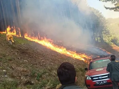 Uludağ'da yol kenarında çıkan yangın kontrol altına alındı