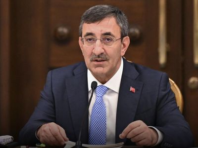 Cumhurbaşkanı Yardımcısı Yılmaz yanıtladı: Demirtaş ve Öcalan'ın hukuki durumu ne olacak?