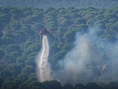 3 ilde yangınlar kontrol altında: Aydın ve Balıkesir'de alevlerle mücadele sürüyor