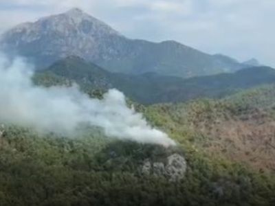Antalya'da orman yangını: Ekipler müdahale ediyor