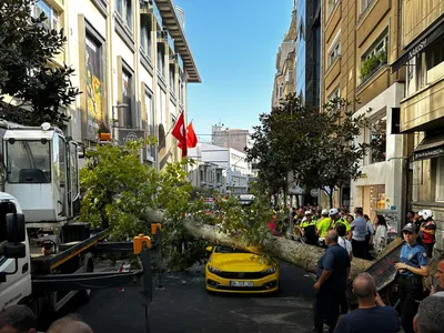 Şişli'de devrilen çınar ağacı trafiği felç etti
