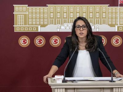 TİP Milletvekili Sera Kadıgil hakkında soruşturma başlatıldı