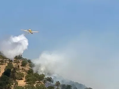 Balıkesir’de orman yangınına ekipler havadan ve karadan müdahale ediyor
