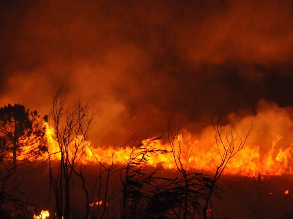 168 Yangın Kontrol Altında, 6 İlde Yangınlara Müdahale Devam Ediyor