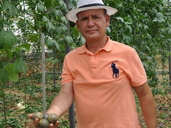 Almanya'dan Türkiye'ye Passiflora Yetiştirmek İçin Döndü, Kilosunu 76 Liradan Satıyor