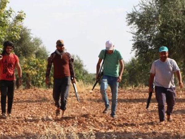 Antep Fıstığı İçin Tüfekle Nöbet Tutuyorlar