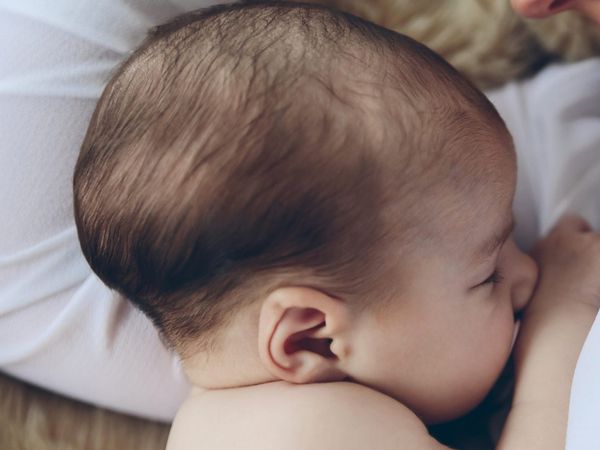 Arven isminin anlamı nedir?