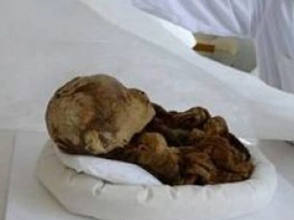 Asırlık cesette öyle bir şey çıktı ki! Bilim adamları gerçek olabileceğine inanmıyor