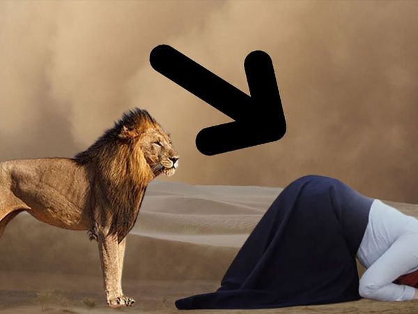 Aslan namaz kılan kadına bakın ne yapıyor?