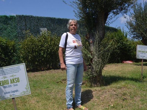 Avcılar'da Öldürülen Kadınların Anısını Dikilen Zeytin Ağaçlarının Tabelaları Çalındı