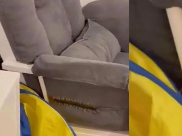 Bebek odasına giren devasa büyüklükte kırkayak yüzünden korku dolu anlar yaşandı