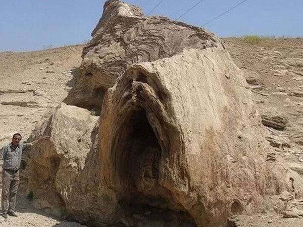 Canavara benzetilen taş büyük ilgi görüyor!