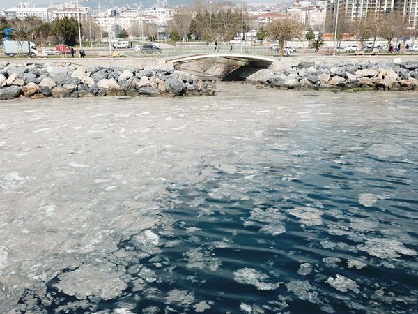 Deniz Ürünleri Yiyenlere Kötü Haber!