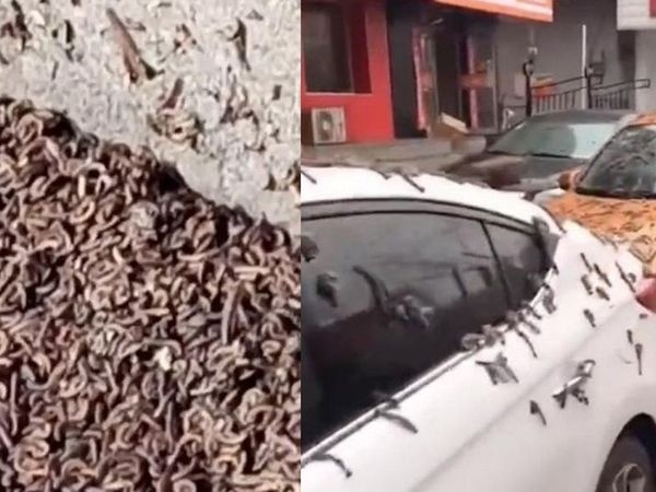 Dünya bu görüntüleri konuşuyor! Gökten yağmur gibi yağdı herkes kıyamet alameti olarak görüyor