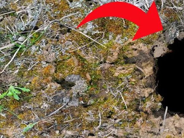 Dünyanın korkulu rüyası geri döndü! 12 dakika içinde 22 insanı öldürüyor