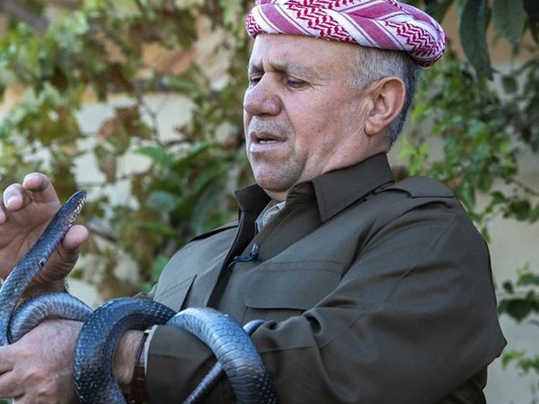 Duyanlar kulaklarına inanamıyor! 60 yılanla aynı evde yaşayan adamın itirafları herkesi şaşırttı!