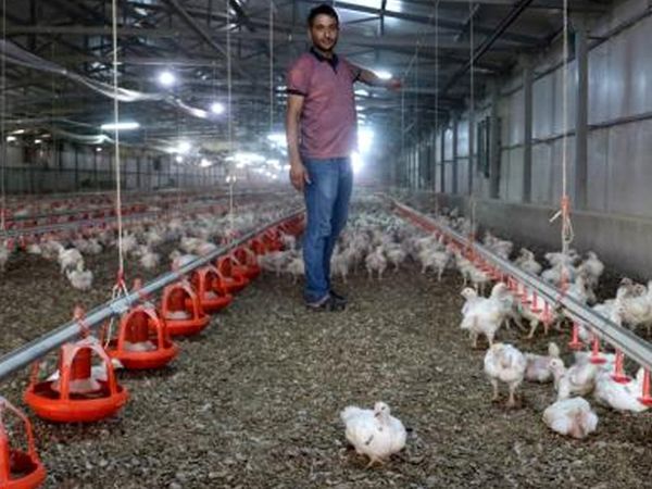 Elektrik Kesintisi Genç Girişimcinin 500 Bin Lirasına Mal Oldu