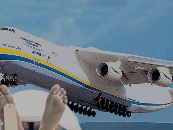 Görenler donup kaldı: Yolcu uçağının tekerleğinden ceset çıktı