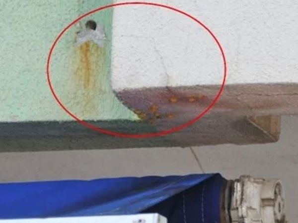 Görüntüleri daha da ürkütücü! Yeni taşındıkları evin duvarlarından kan sızdığını gören aile panik oldu