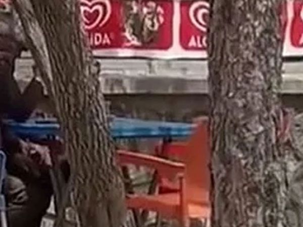 İnsanlar çıldırdı! Bebek ve Ümraniye’den sonra bir skandal da Ağrı’dan geldi dedeler…