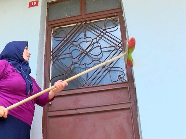 İstanbul’da Tırtıl İstilası Yaşanıyor, Tırtıllar Meyve Ağaçlarını Kuruttu