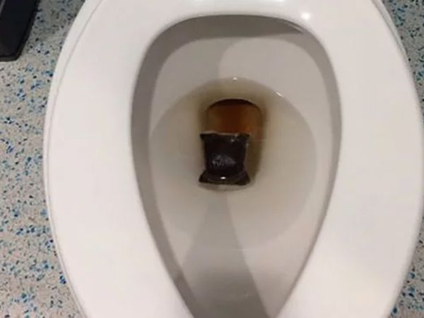 Kimse bilmiyor! Kullanılmış çay poşetlerini sakın atmayın: Klozetin içine bırakın ve sonucu görün