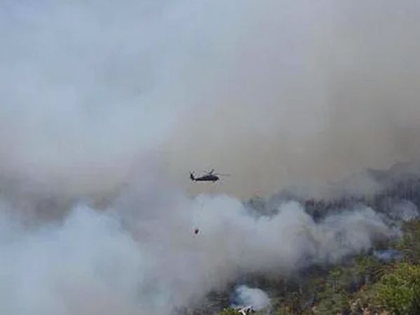 Köyceğiz ve Bodrum'da Çıkan Yangınlar Şiddetlendi