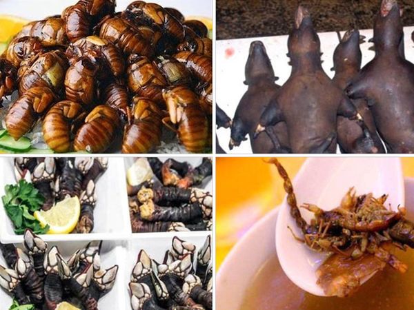 Mide bulandıran en tiksinç yiyecekler