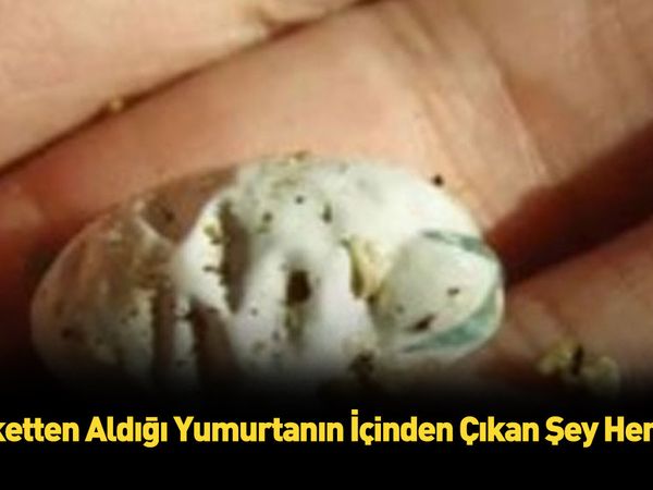 Önce avucuna aldı, ardından yaşananları anbean kaydetti! Görenler gözlerine inanamadı