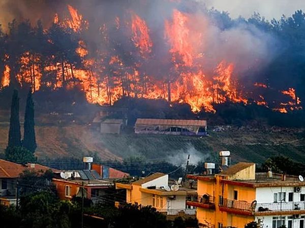 Orman Yangınları İçin Yardıma Giden Ünlüler