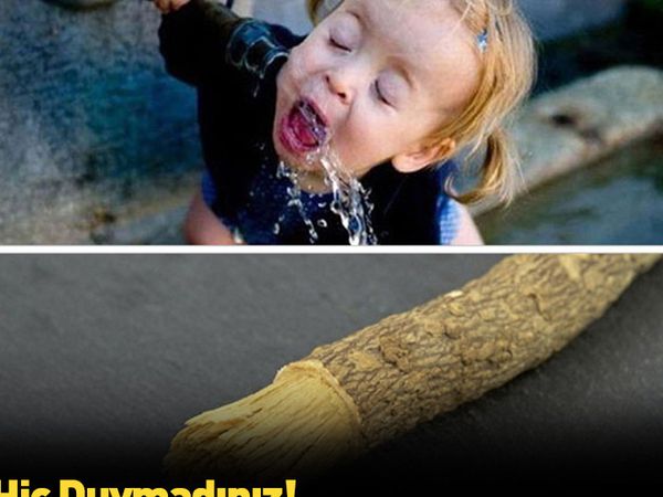 Peygamberimizin hayatında yer edinmiş sünnetler