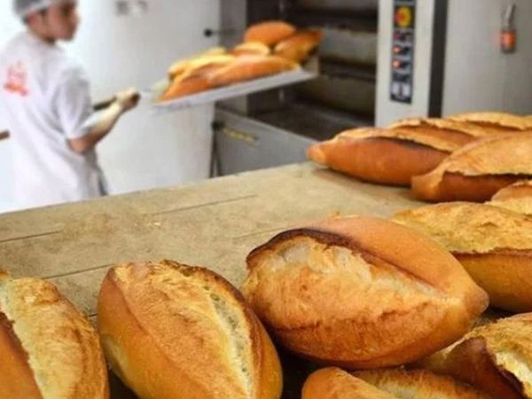 Piknik yapmak isteyen aile hayatının şokunu yaşadı! Ekmeğin içinden çıkan fare mide bulandırdı ‘Artık ekmek yemiyorum’
