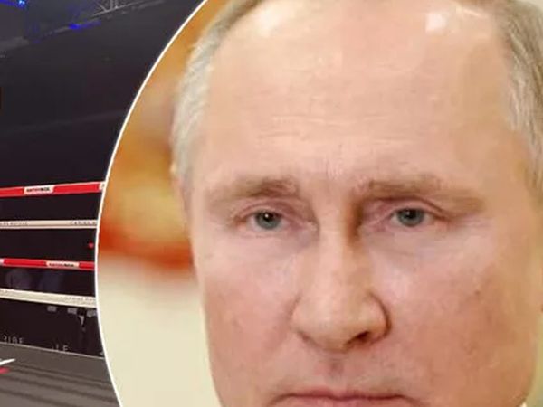Rusya Devlet Başkanı Vladimir Putin'i ringte düelloya davet etmişti: Ünlü hostesin müstehcen fotoğrafları ortaya çıktı