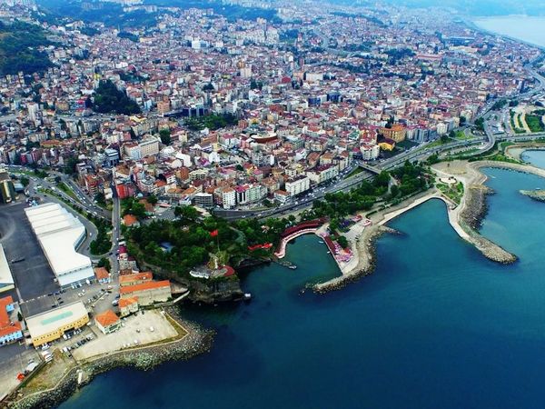 Sardalya ve Hamsi İklim Değişikliği Nedeniyle Yok Olma Tehlikesinde
