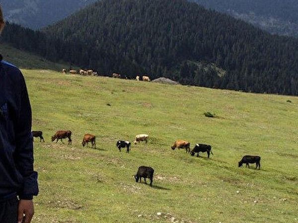 Şehit Eren Bülbül Kimdir?
