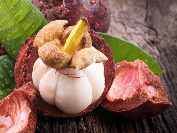 Tanrıların Meyvesi Mangostan Nedir?