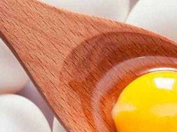 Yumurtanın içindeki ipliğe benzer beyaz şey nedir?