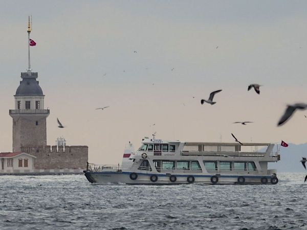 Yunusların İstanbullulara görsel şöleni