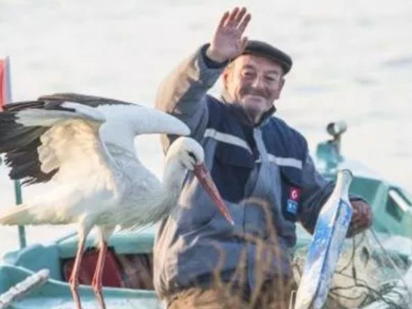 11 yıllık dostluk! Yaren Leylek ve Balıkçı Adem Amca yine aynı yerde buluştu