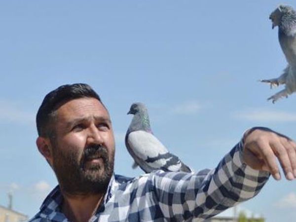 300 Güvercin İçin Aldığı Araziye, 350 Bin Lira Harcadı