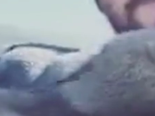 Yavru Ayıları Kendi Elleriyle Beslediler
