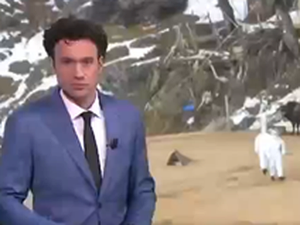 Türkiye'nin Aşılama Başarısı Dünya Gündeminde