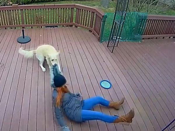 ABD'de Köpek ile Sahibinin Şaşkına Çeviren Oyunu Kamerada